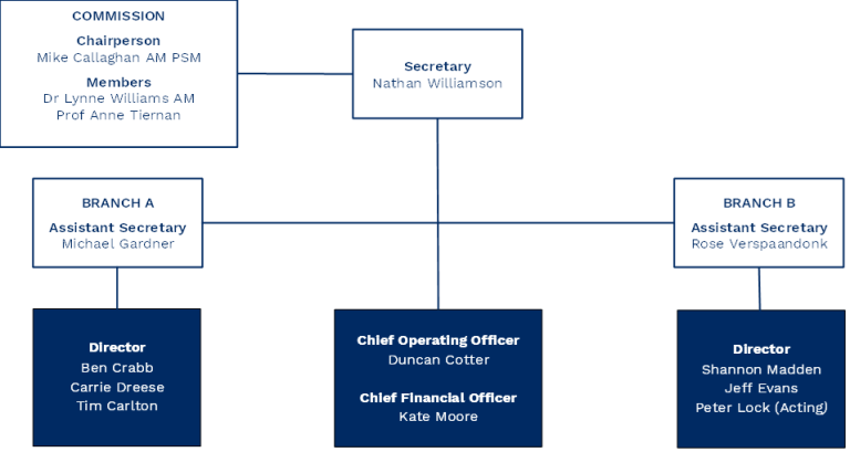Organisational structure 