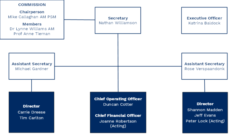 Organisational structure 